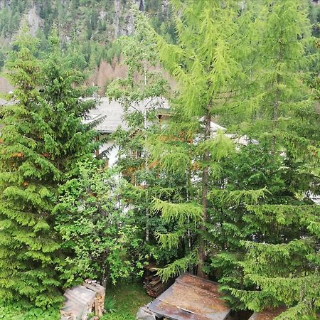 Apartament Cesa Pier Sellaronda Dolomiti Campitello di Fassa Zewnętrze zdjęcie