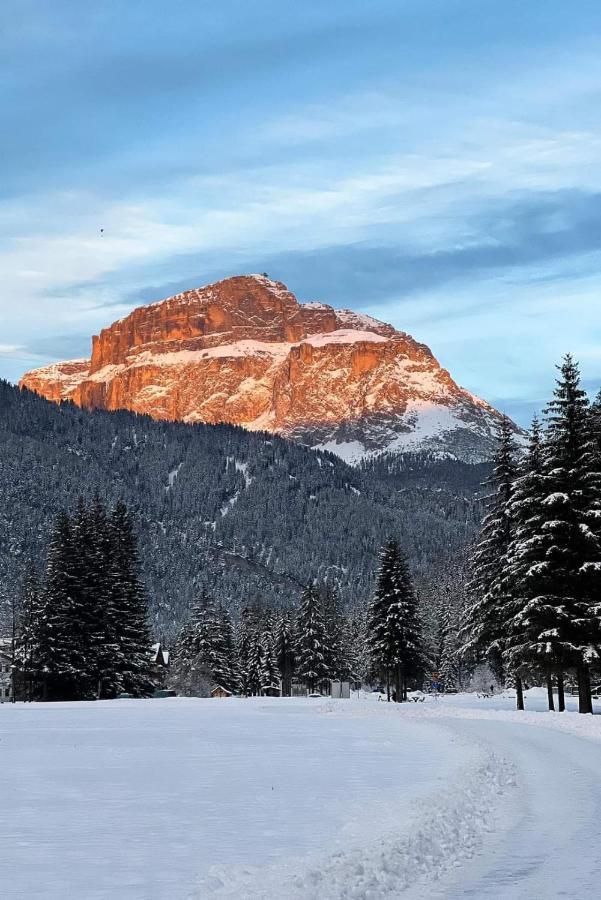 Apartament Cesa Pier Sellaronda Dolomiti Campitello di Fassa Zewnętrze zdjęcie
