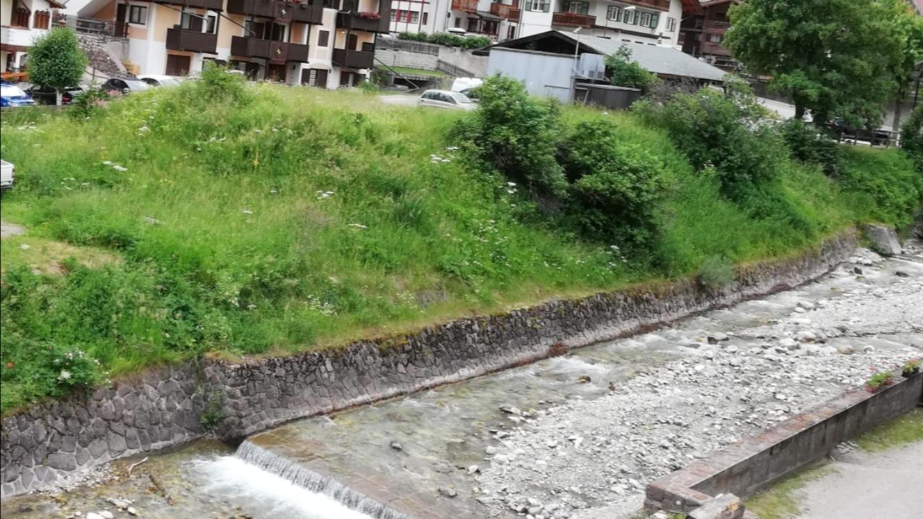 Apartament Cesa Pier Sellaronda Dolomiti Campitello di Fassa Zewnętrze zdjęcie