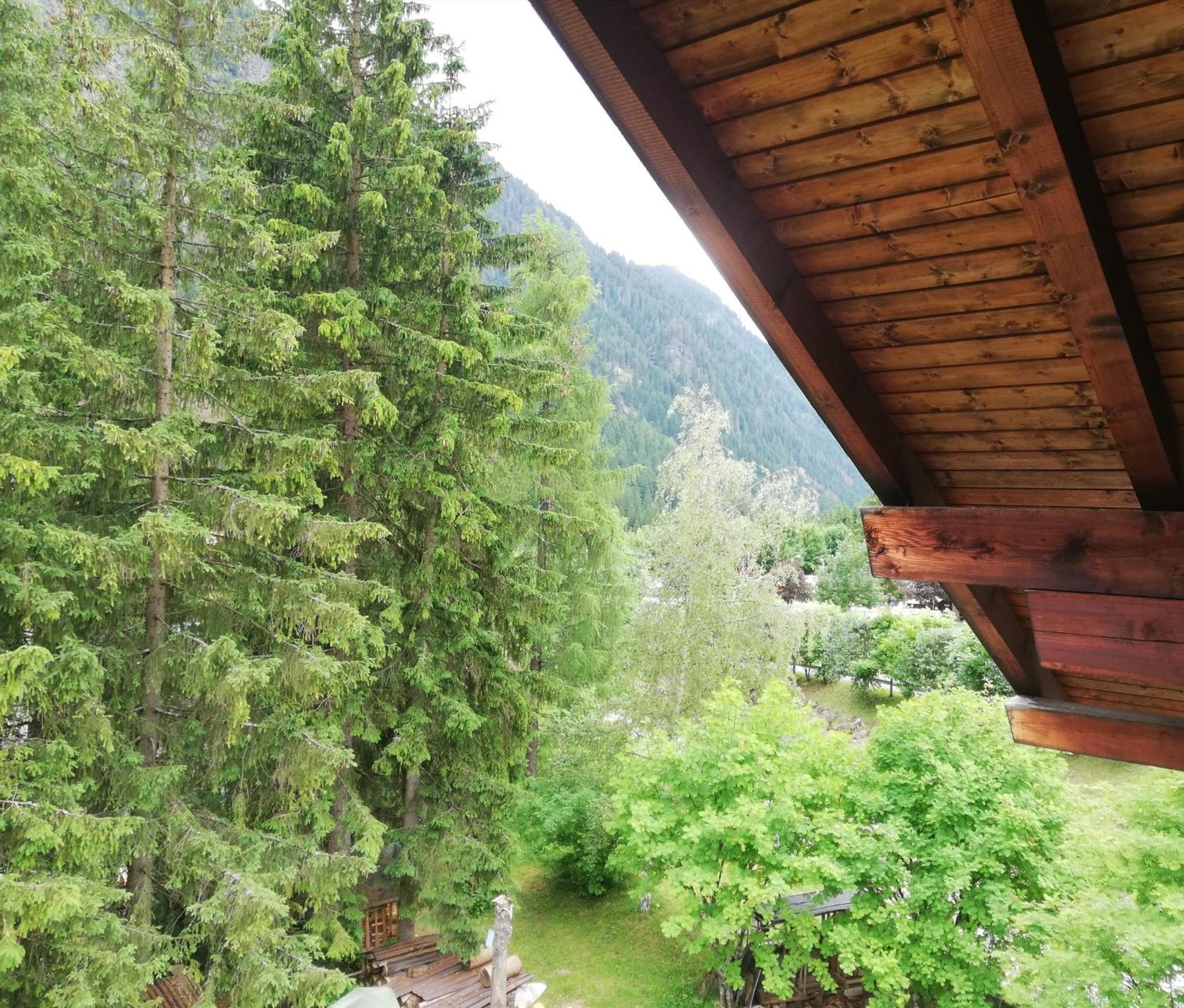 Apartament Cesa Pier Sellaronda Dolomiti Campitello di Fassa Zewnętrze zdjęcie